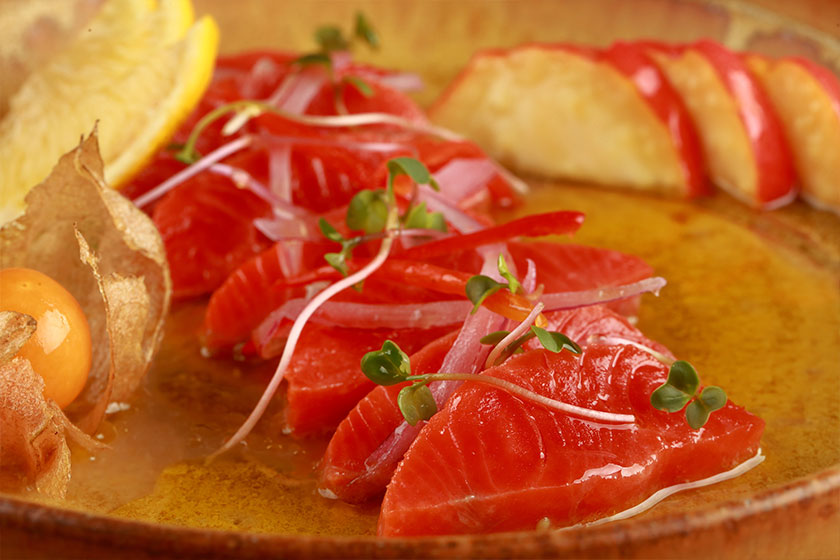 Peixes selvagens do Alasca "invadem" São Paulo