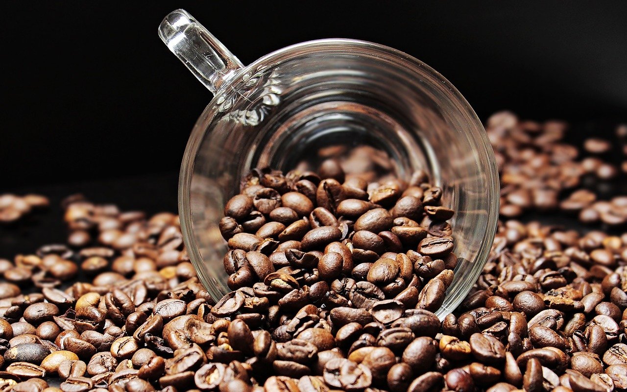 Cafeicultores de Garça (SP) iniciam processo para selo IG