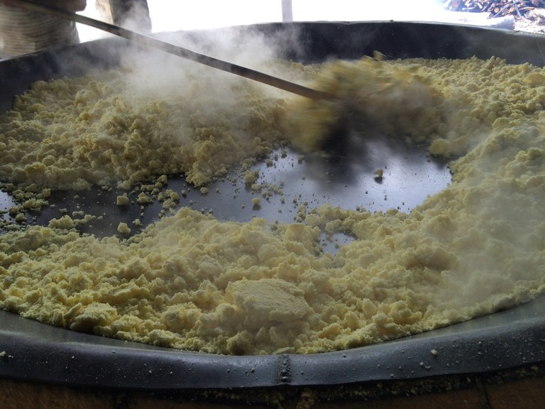 Farinha de mandioca de Bragança (PA) conquista selo de IG