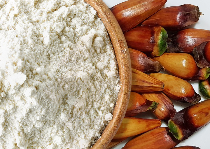 Pesquisa cria farinha de pinhão cru sem glúten