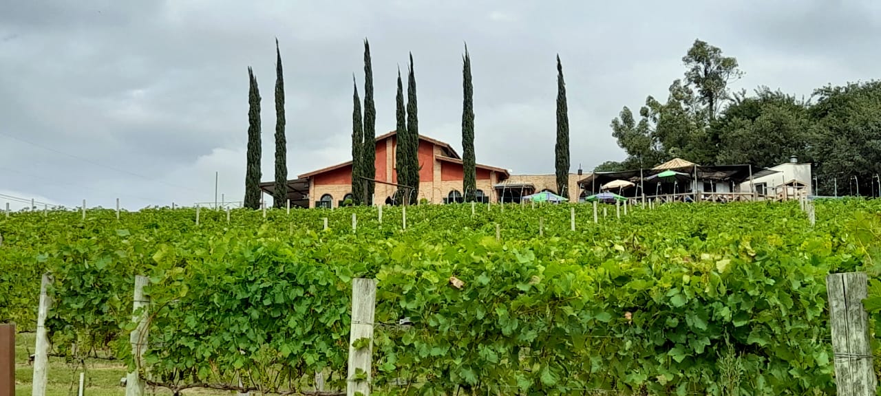 Vinícolas garantem bom passeio perto de SP