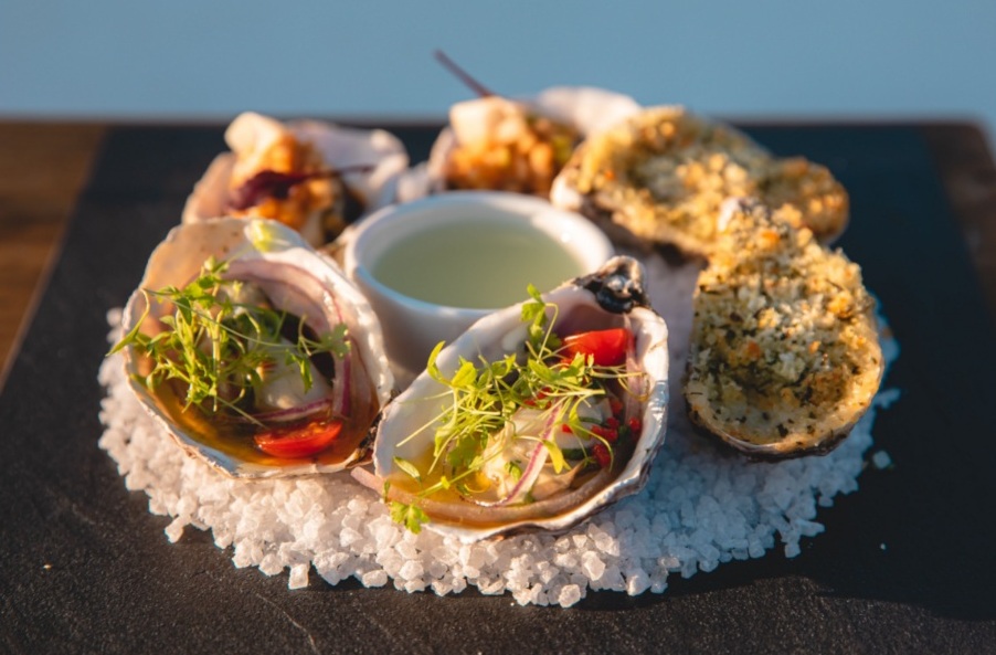 Temporada de ostras Ponta dos Ganchos 2021 1 foto