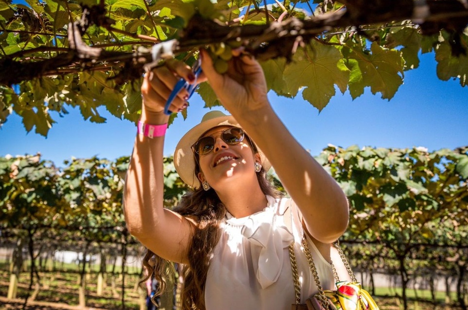 Góes confirma Festa da Vindima e vende ingresso