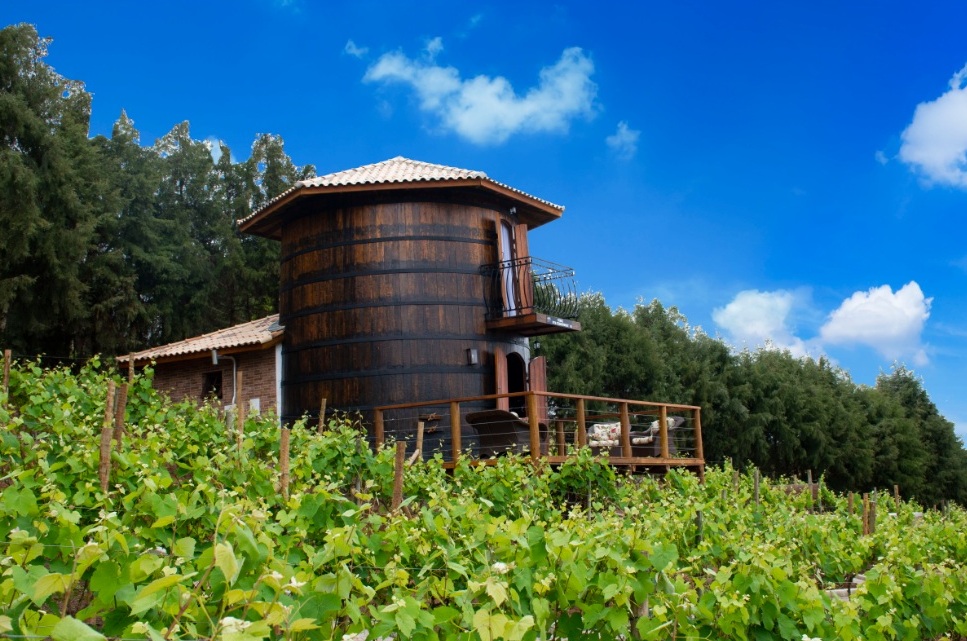 Quinta do Olivardo monta chalé em tonel de vinho 1 Foto Elias Gomes