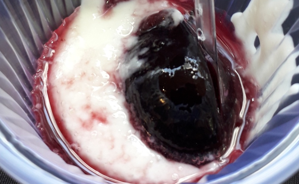 GB transforma jabuticabas em 3 versões deliciosas