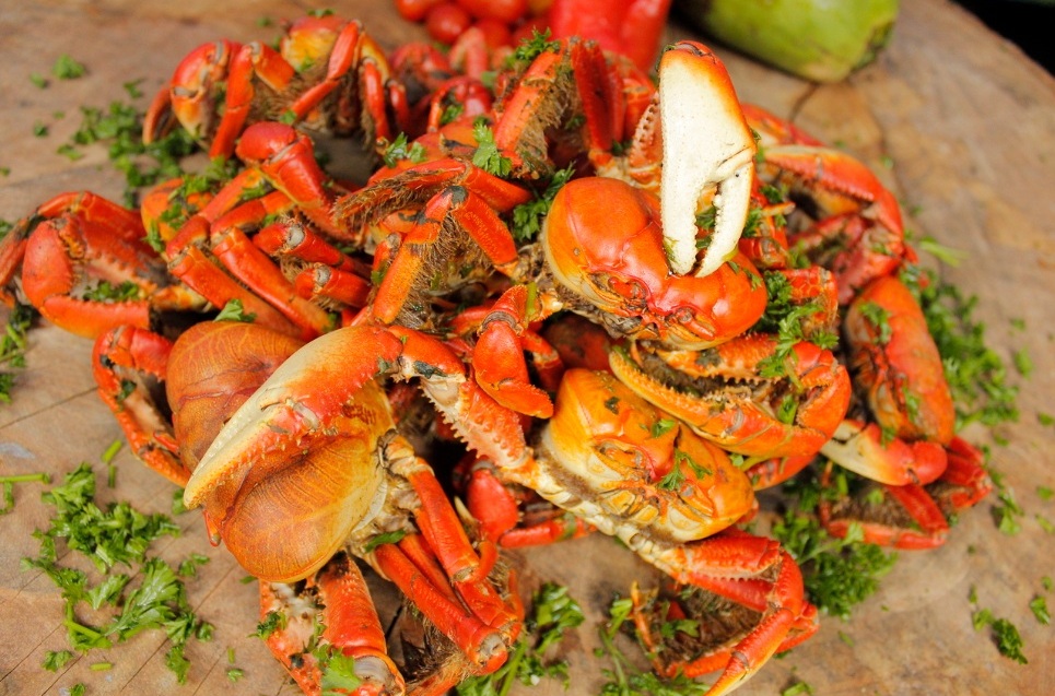 Ceagesp inicia Festival do Pescado e Frutos do Mar Foto 2 divulgacao