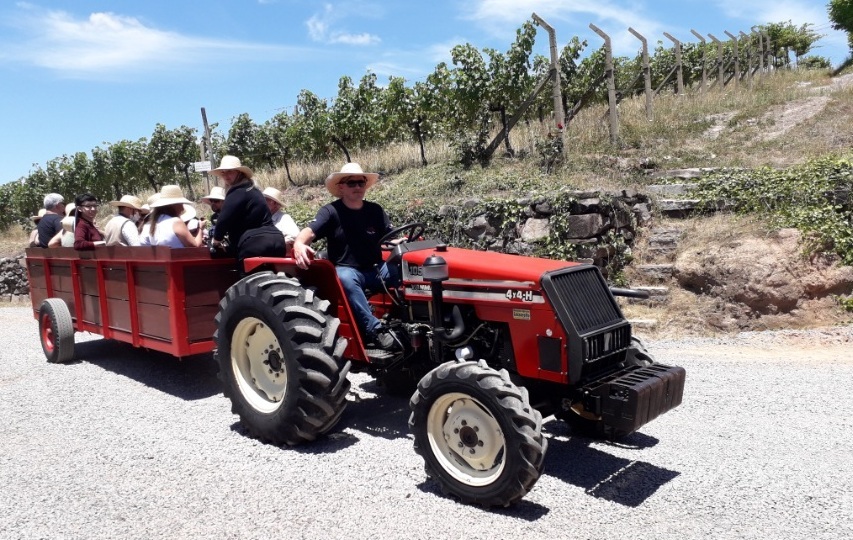 Passeio de trator conta historia de vinícola gaucha 1 Foto Claudio Schapochnik Que Gostoso