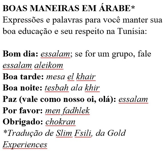 Boas Manieras em Arabe _ Claudio Schapochnik Que Gostoso