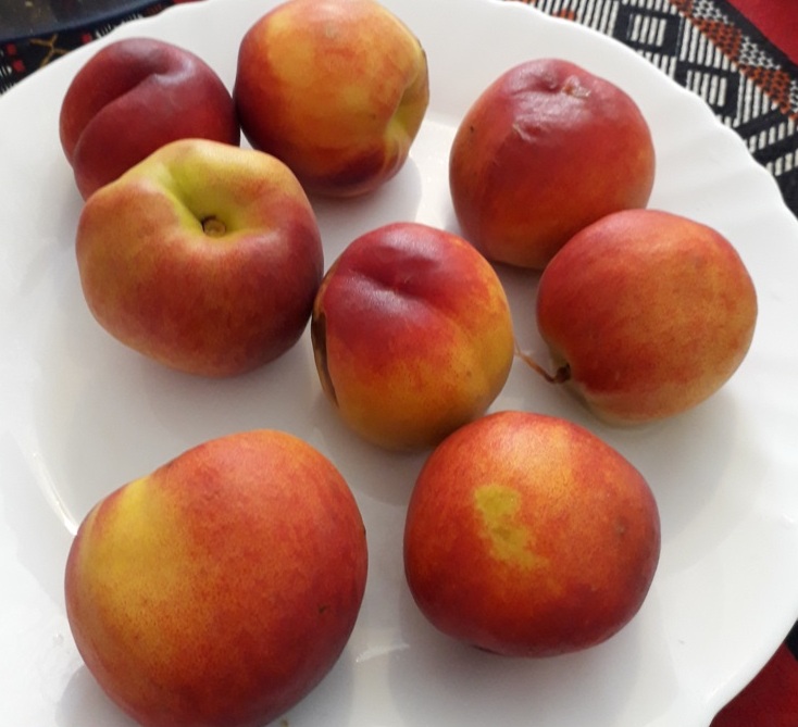 Brick é destaque de almoço no deserto da Tunísia Foto Claudio Schapochnik Que Gostoso 3
