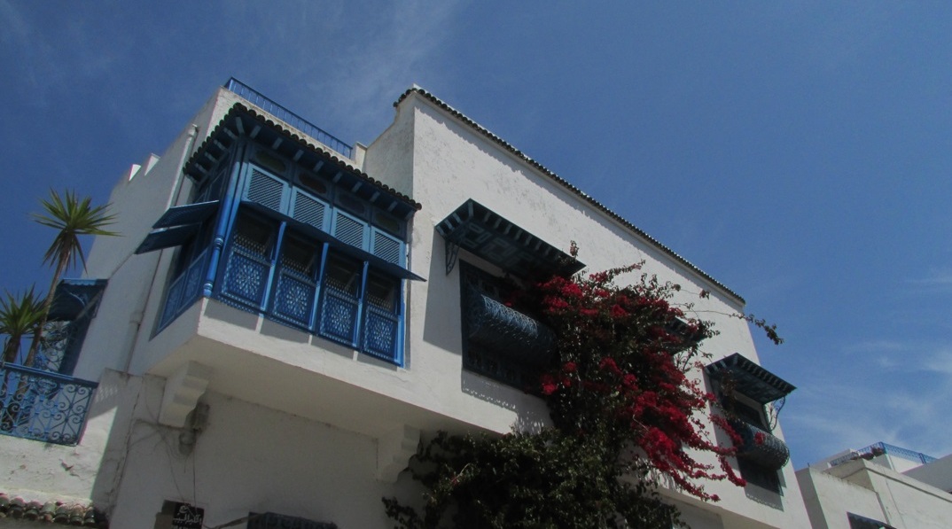 Cartago e o azul e branco de Sidi Bou Said encantam Foto Claudio Schapochnik Que Gostoso 15