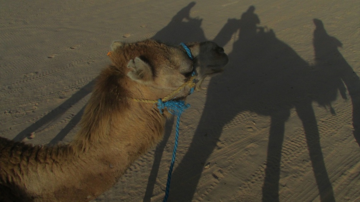 Deserto é entretenimento no Sul da Tunísia Foto Claudio Schapochnik Que Gostoso 14