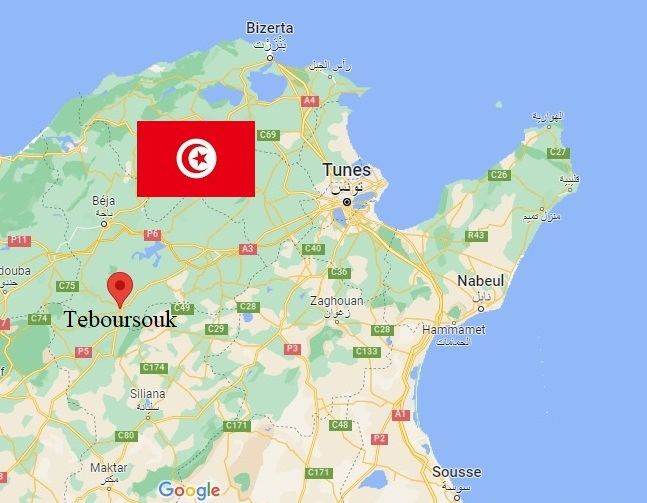 Hotel tunisiano serve boa carne de javali Foto Claudio Schapochnik Que Gostoso 1