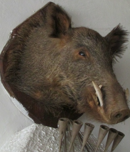 Hotel tunisiano serve boa carne de javali Foto Claudio Schapochnik Que Gostoso 5