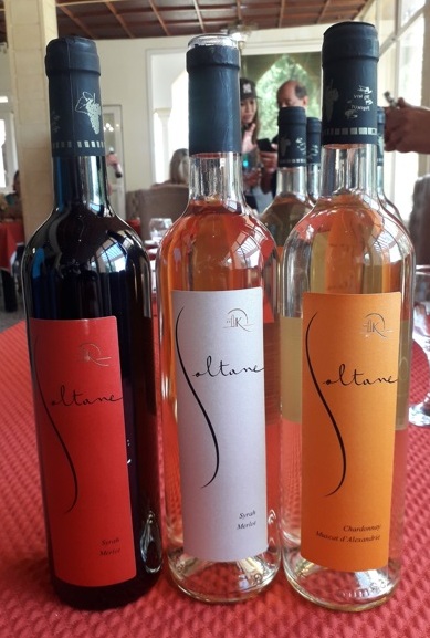 Hotel tunisiano serve boa carne de javali Foto Claudio Schapochnik Que Gostoso 7