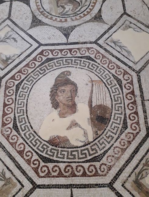 Mosaicos exibem vida romana em El Jem (Tunísia) Foto Claudio Schapochnik Que Gostoso 13
