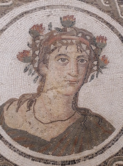 Mosaicos exibem vida romana em El Jem (Tunísia) Foto Claudio Schapochnik Que Gostoso 15