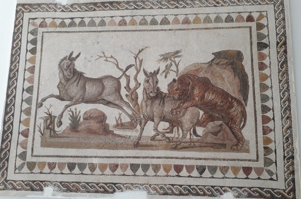 Mosaicos exibem vida romana em El Jem (Tunísia) Foto Claudio Schapochnik Que Gostoso 2