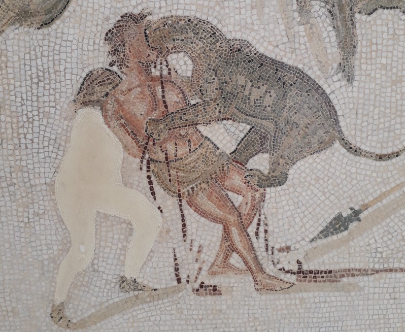 Mosaicos exibem vida romana em El Jem (Tunísia) Foto Claudio Schapochnik Que Gostoso 27