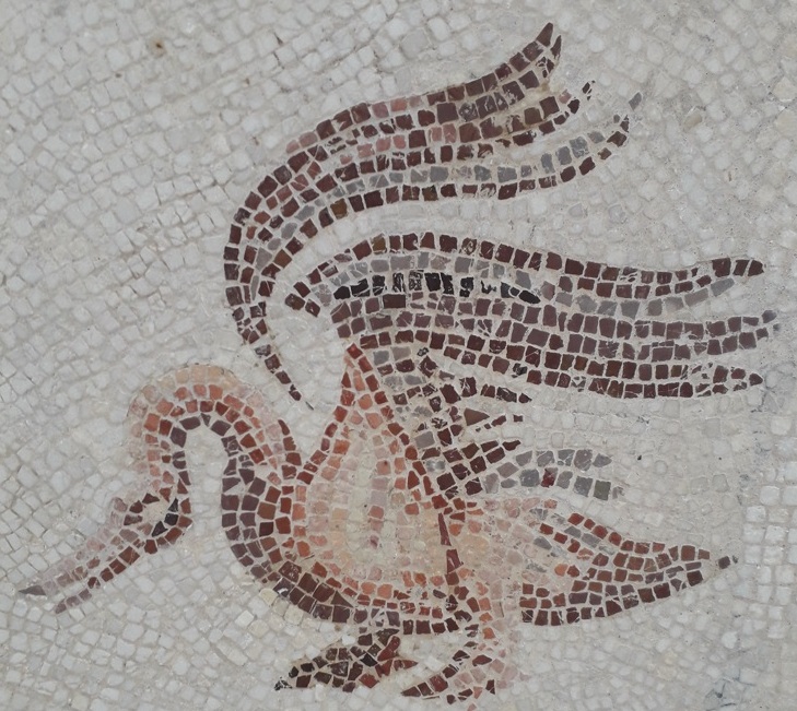 Mosaicos exibem vida romana em El Jem (Tunísia) Foto Claudio Schapochnik Que Gostoso 29