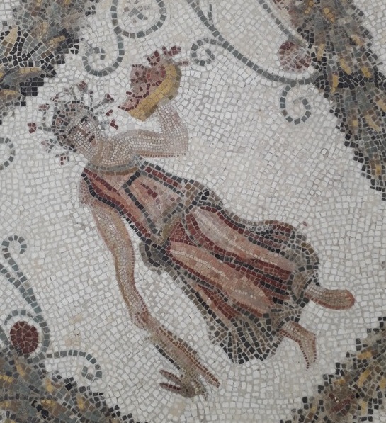 Mosaicos exibem vida romana em El Jem (Tunísia) Foto Claudio Schapochnik Que Gostoso 30