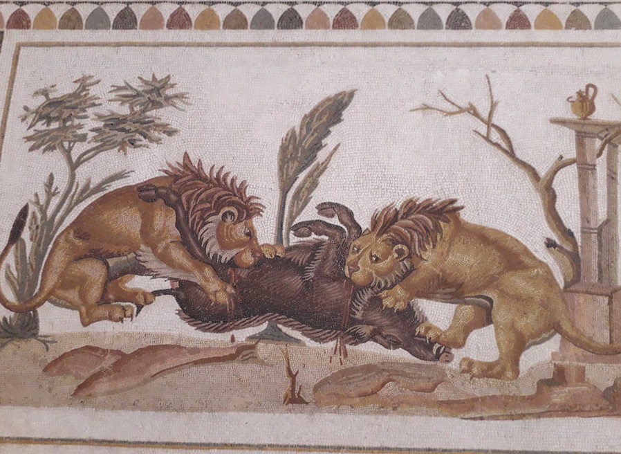 Mosaicos exibem vida romana em El Jem (Tunísia) Foto Claudio Schapochnik Que Gostoso 4