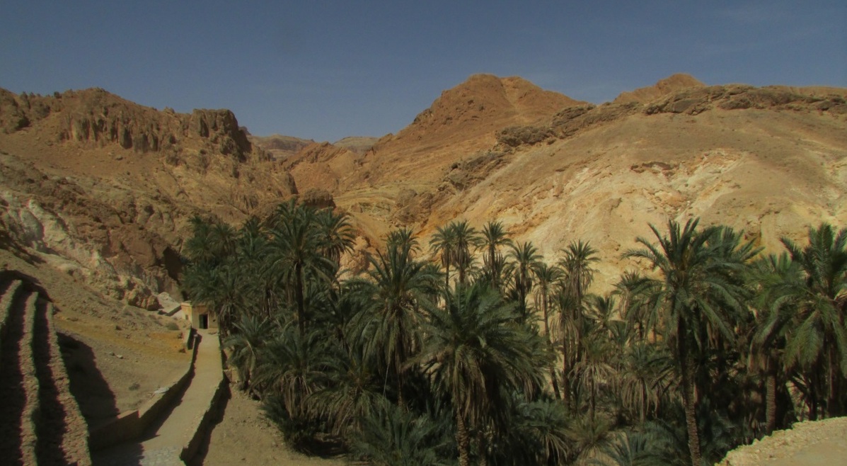 QUE GOSTOSO! mostra belezas e delícias da Tunísia Foto Claudio Schapochnik 12