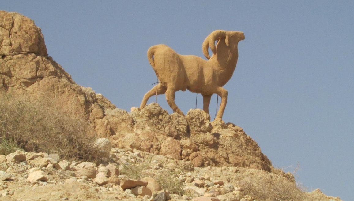 Star Wars real está no deserto tunisiano Foto Claudio Schapochnik Que Gostoso 4