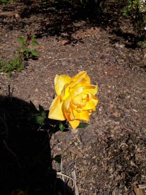 Jundiaí (SP) tem novo restaurante em vinícola Foto Claudio Schapochnik Que Gostoso 20