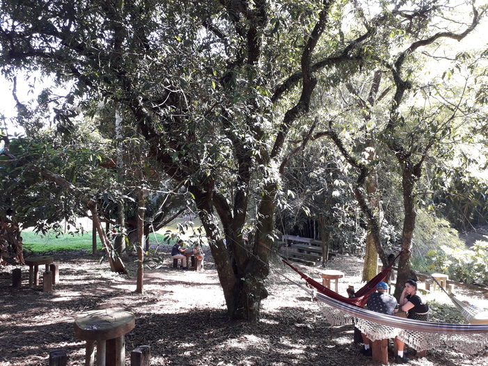 Jundiaí (SP) tem novo restaurante em vinícola Foto Claudio Schapochnik Que Gostoso 24