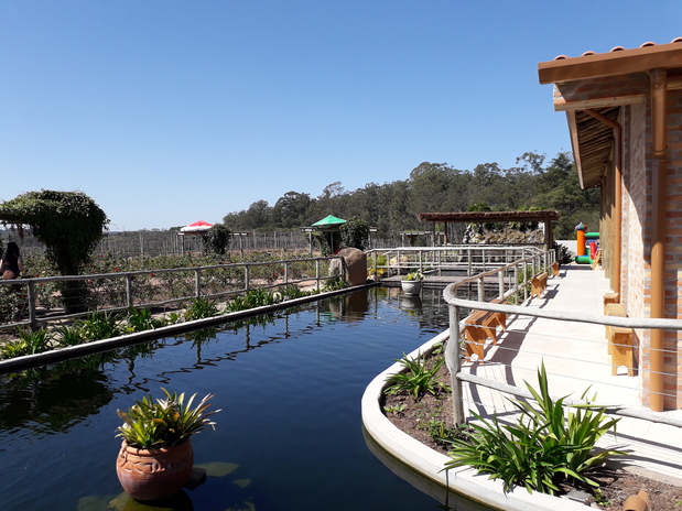 Jundiaí (SP) tem novo restaurante em vinícola Foto Claudio Schapochnik Que Gostoso 4