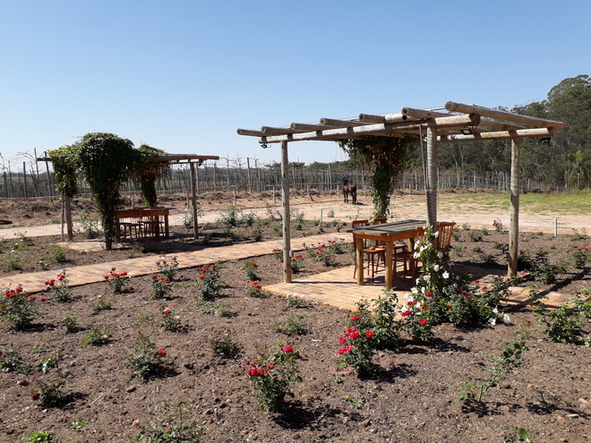 Jundiaí (SP) tem novo restaurante em vinícola Foto Claudio Schapochnik Que Gostoso 7