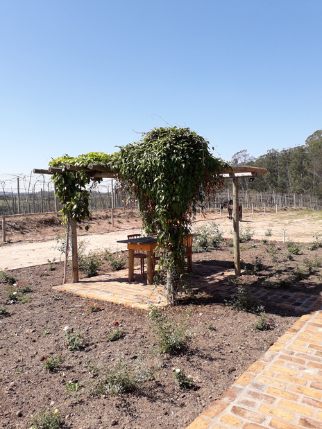 Jundiaí (SP) tem novo restaurante em vinícola Foto Claudio Schapochnik Que Gostoso 9