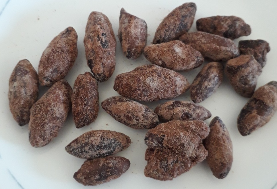 Castanha baru é ótima salgada ou doce Foto Claudio Schapochnik Que Gostoso 3