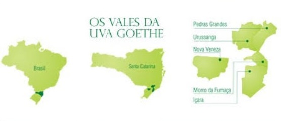 Muito prazer, uva Goethe! Reproducao do site A Enofila Erica Lustosa