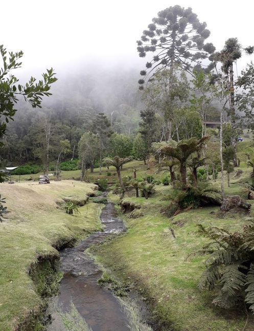 Parque da Cerveja também serve boa comida Foto Claudio Schapochnik Que Gostoso 2