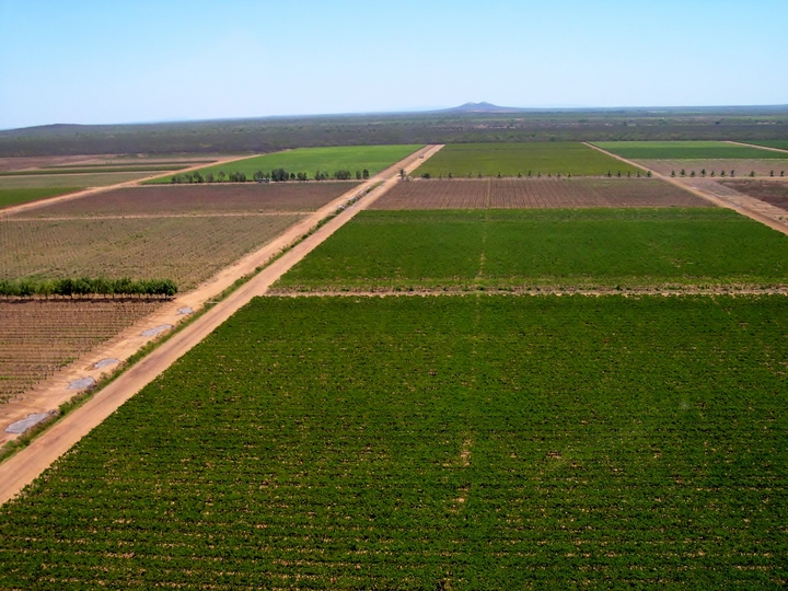 Brasil conquista 1a IG de Vinhos Tropicais Foto Giuliano Elias Pereira
