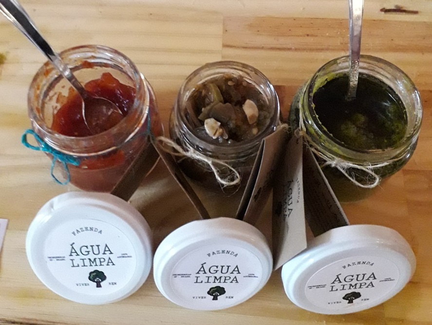 Macadâmia dá upgrade em caponata caseira Foto Claudio Schapochnik Que Gostoso 1