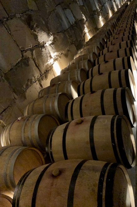 Vinho e música uma harmonização perfeita! Foto Lucia Grimaldi 6