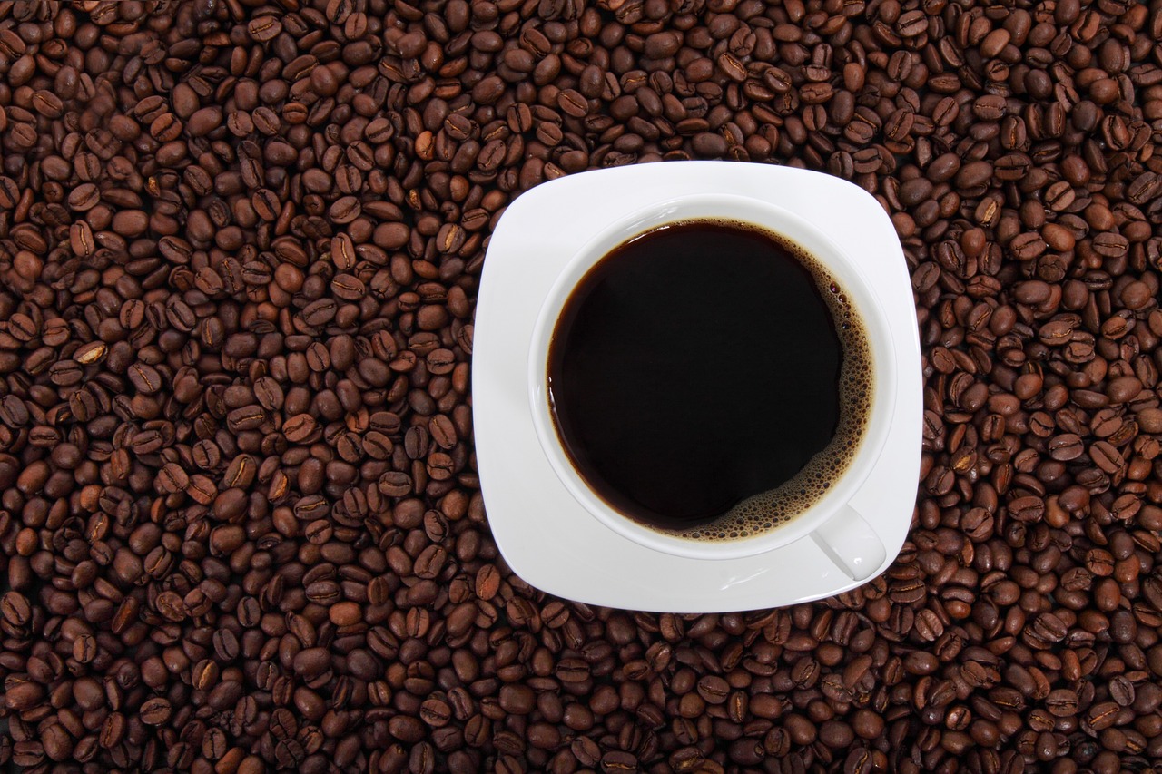 Cafés e queijos de MG veja os campeões de 2022 Foto PublicDomainPictures_Pixabay