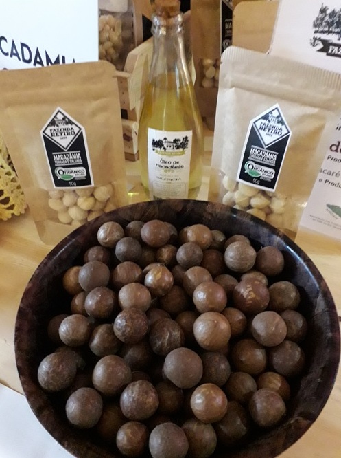 Macadâmia da Fazenda Retiro (SP) é orgânica Foto Claudio Schapochnik Que Gostoso 1