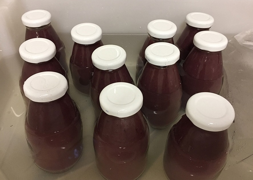 Novos produtos do fruto da palmeira juçara Foto Virgínia da Matta 1