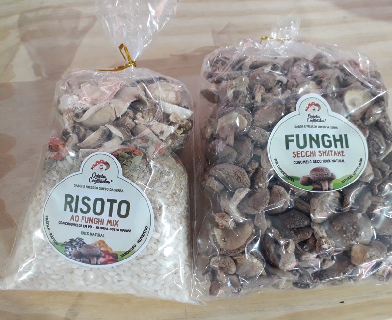 Quinta dos Cogumelos produz juba de leão Foto Claudio Schapochnik Que Gostoso 1