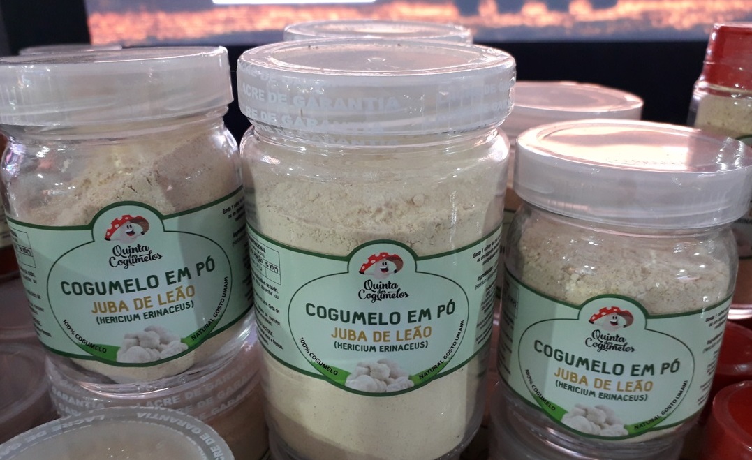 Quinta dos Cogumelos produz juba de leão Foto Claudio Schapochnik Que Gostoso 2