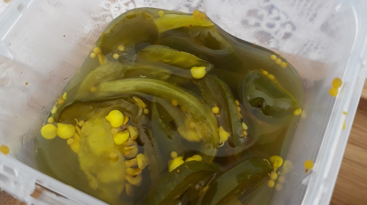 Tataoca transforma maxixe em ótimo picles Foto Claudio Schapochnik Que Gostoso 4