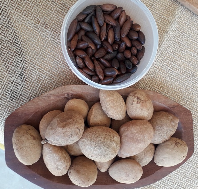 Baru entra no doce de leite e pesto da Sarunna Foto Claudio Schapochnik Que Gostoso 3