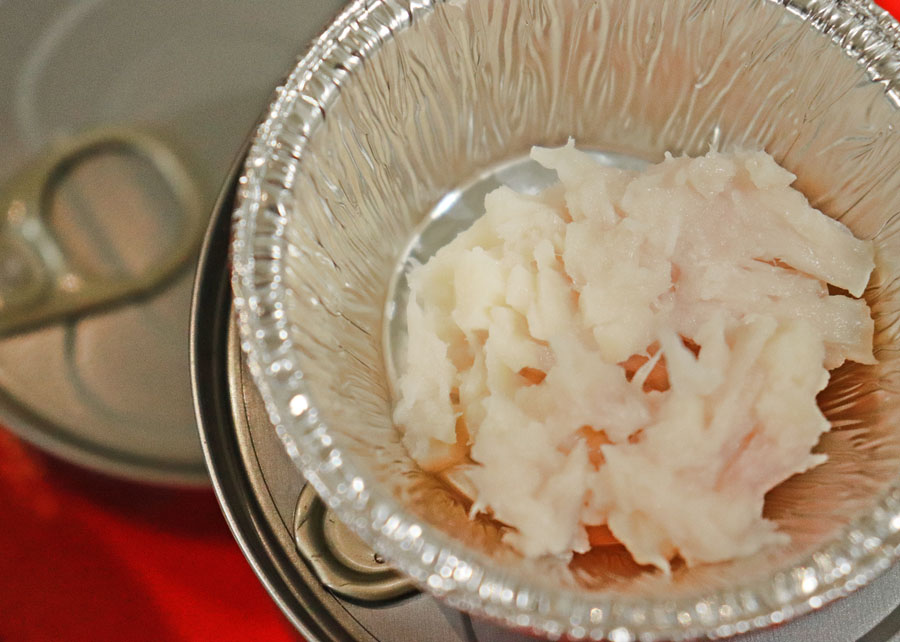 Embrapa desenvolve conserva de pirarucu Foto Ronaldo Rosa 2