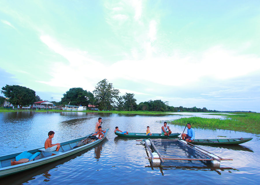 Embrapa desenvolve conserva de pirarucu Foto Ronaldo Rosa 3