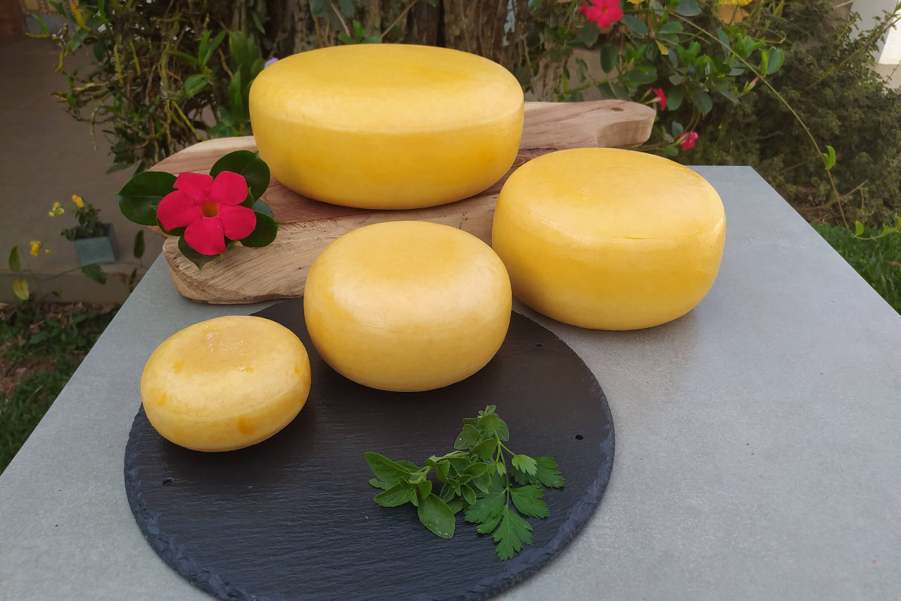 Rota do Queijo (PR) recebe 2 mil pessoas no 1° ano Foto Instituto de Desenvolvimento Rural do Paraná 4