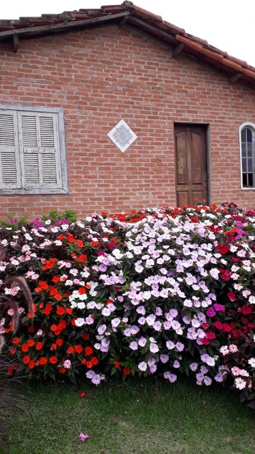 Travitália serve boa massa caseira em Jundiaí Foto Claudio Schapochnik Que Gostoso 10