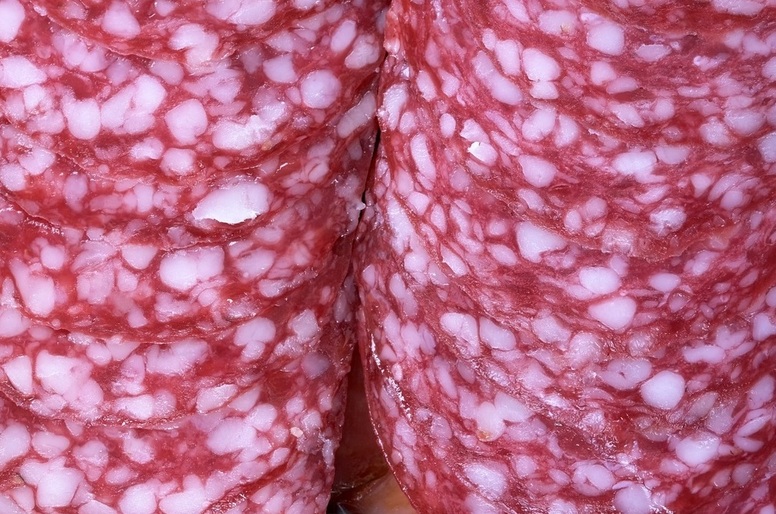 Teste aponta presença de contaminantes em amostras de salame SP Foto Vladimir_Pixabay